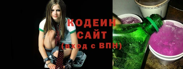 дмт Краснослободск