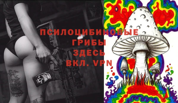 МДМА Куйбышев