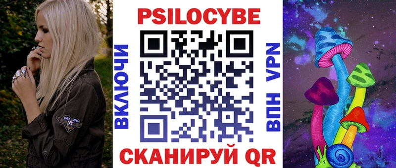 Псилоцибиновые грибы Psilocybe  Купить где  Рубцовск 